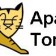 tomcat