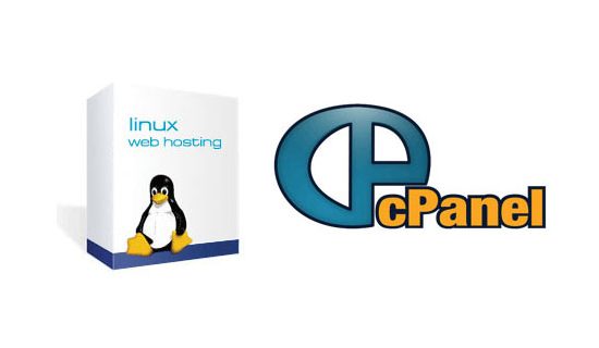 Error saat ganti password di cpanel/whm